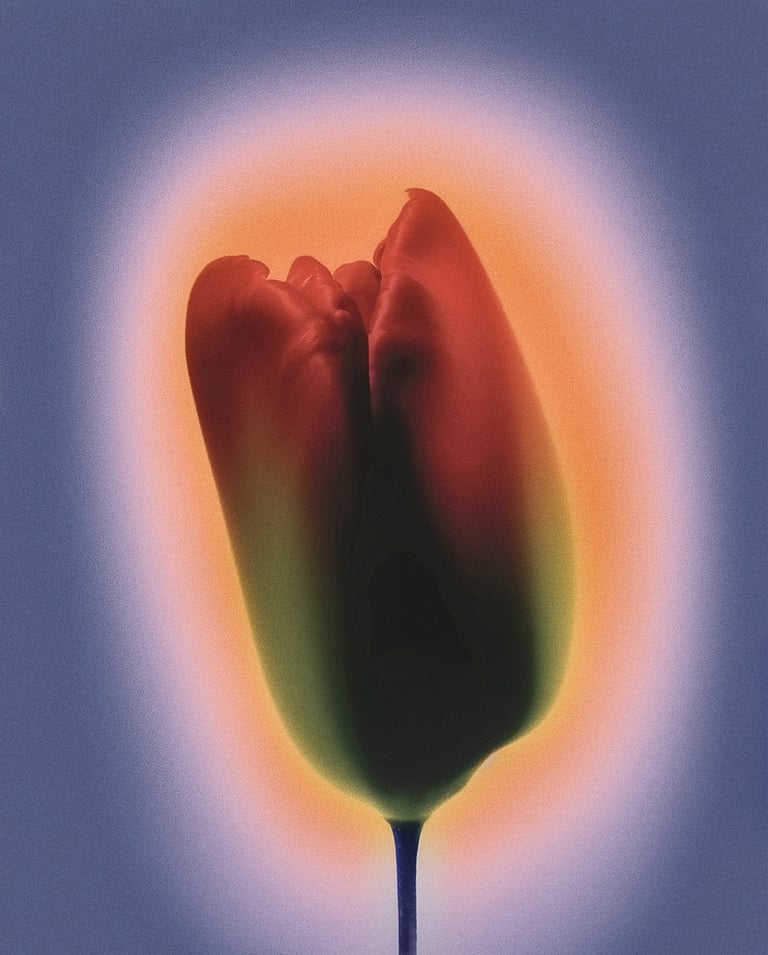Flower 11 Image 2