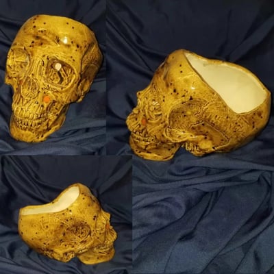 Image of Skull planter