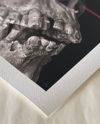 Image 2 of JEFF SRSIC "SKULL STUDY 3" PRINT