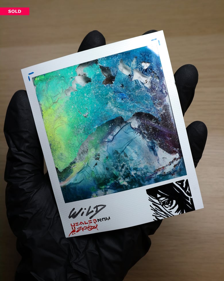 Image of TEXTURED Polaroïd "WILD HEALER"