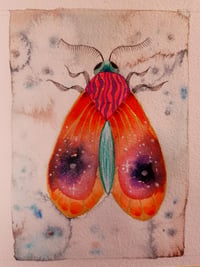 Image 1 of Orange Moth