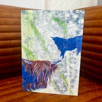 Image 2 of Blue Coos