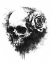 Dead Memories