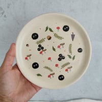 Soot sprites plate