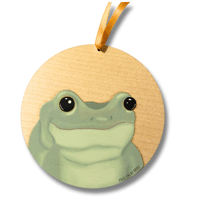 Image 1 of *IMPERFECT* Froggy Ornament