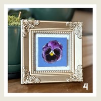 Image 11 of Mini Pansies Series 2 : Original Art by Heather Lacroix