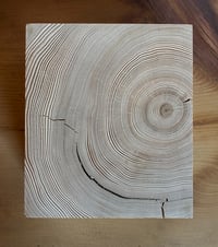 Image 2 of Hemlock Storywood