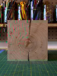Image 1 of Douglas-fir Storywood