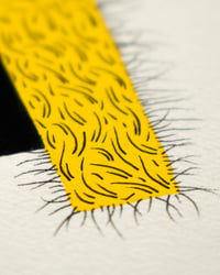 Image 2 of Parallel Reflections II