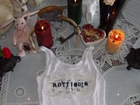 Image 5 of Rotten! T⭐️P