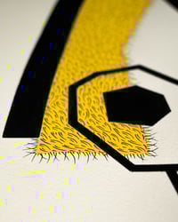 Image 4 of Parallel Reflections II