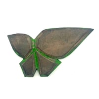 Green Edge Butterfly