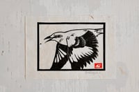 Image 1 of Northern Mockingbird ✦ Linocut Print