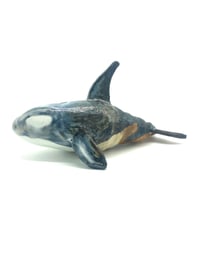 Image 1 of Large Fade Orca