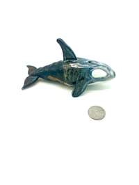 Image 2 of Large Fade Orca