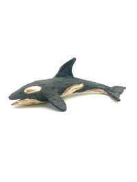 Image 1 of Slender Orca
