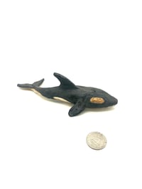 Image 2 of Slender Orca