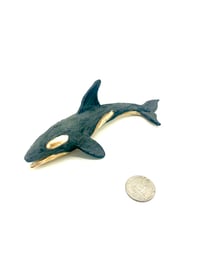 Image 3 of Slender Orca