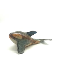 Image 1 of Expressive Orca