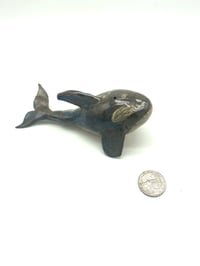 Image 2 of Expressive Orca