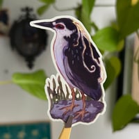 Image 1 of night heron sticker