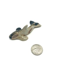Image 1 of Yin/Yang Orca