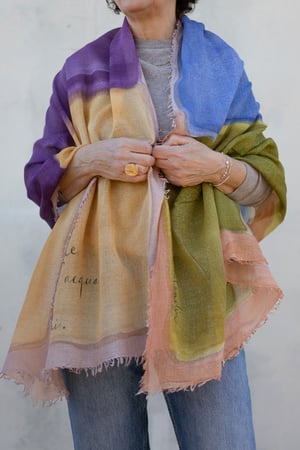 Image of Pashmina n.170