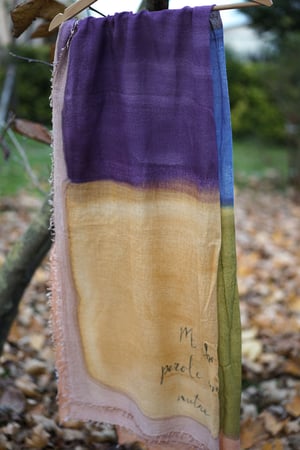 Image of Pashmina n.170