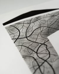 Image 3 of Relations