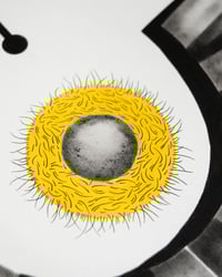 Image 4 of Interactions I