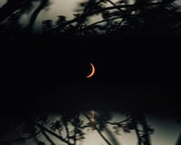 Image 1 of Backyard Solar Eclipse 