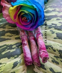 Rose Petal Cone