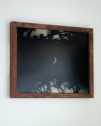 Image 4 of Backyard Solar Eclipse 