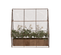 Image 3 of Garden Cloche Side House