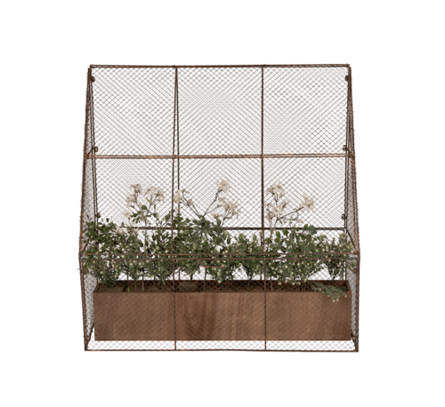 Image of Wire Garden Cloche Side