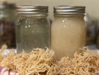 Image 3 of Sea Moss Gel 