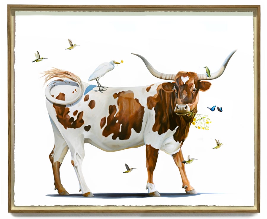Image of Seedsavers AP - Morpho
