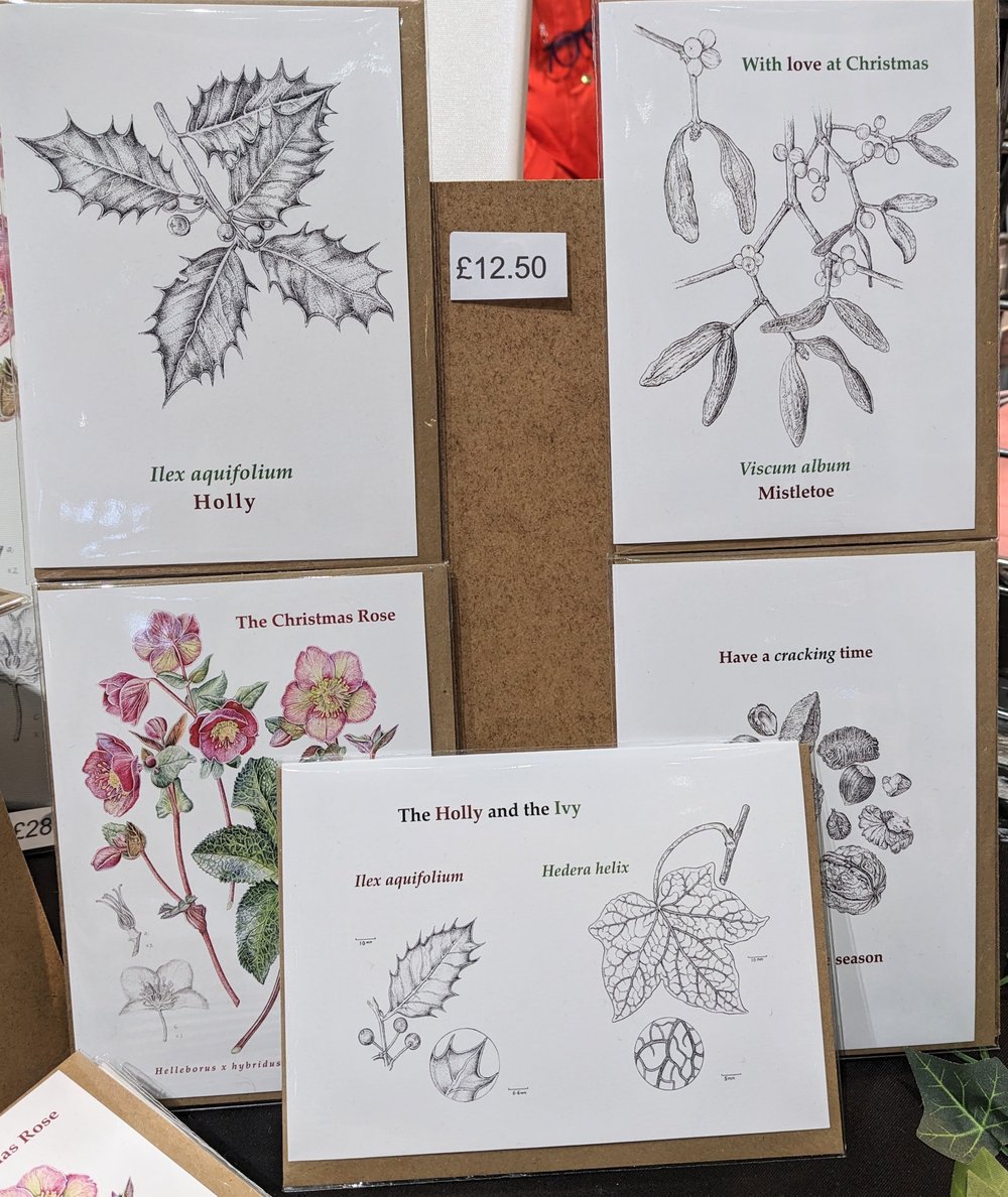 Image of 5x Christmas Card Botanical Pack