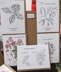 5x Christmas Card Botanical Pack