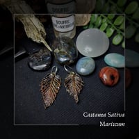Image 1 of ☽ Castanea Mariscum ☾