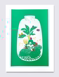 Image 2 of MAGICAL TERRARIUM