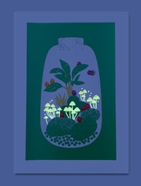 Image 1 of MAGICAL TERRARIUM