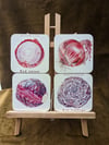 Coaster Set of 4 - Onion/ Cabbage or Peppers