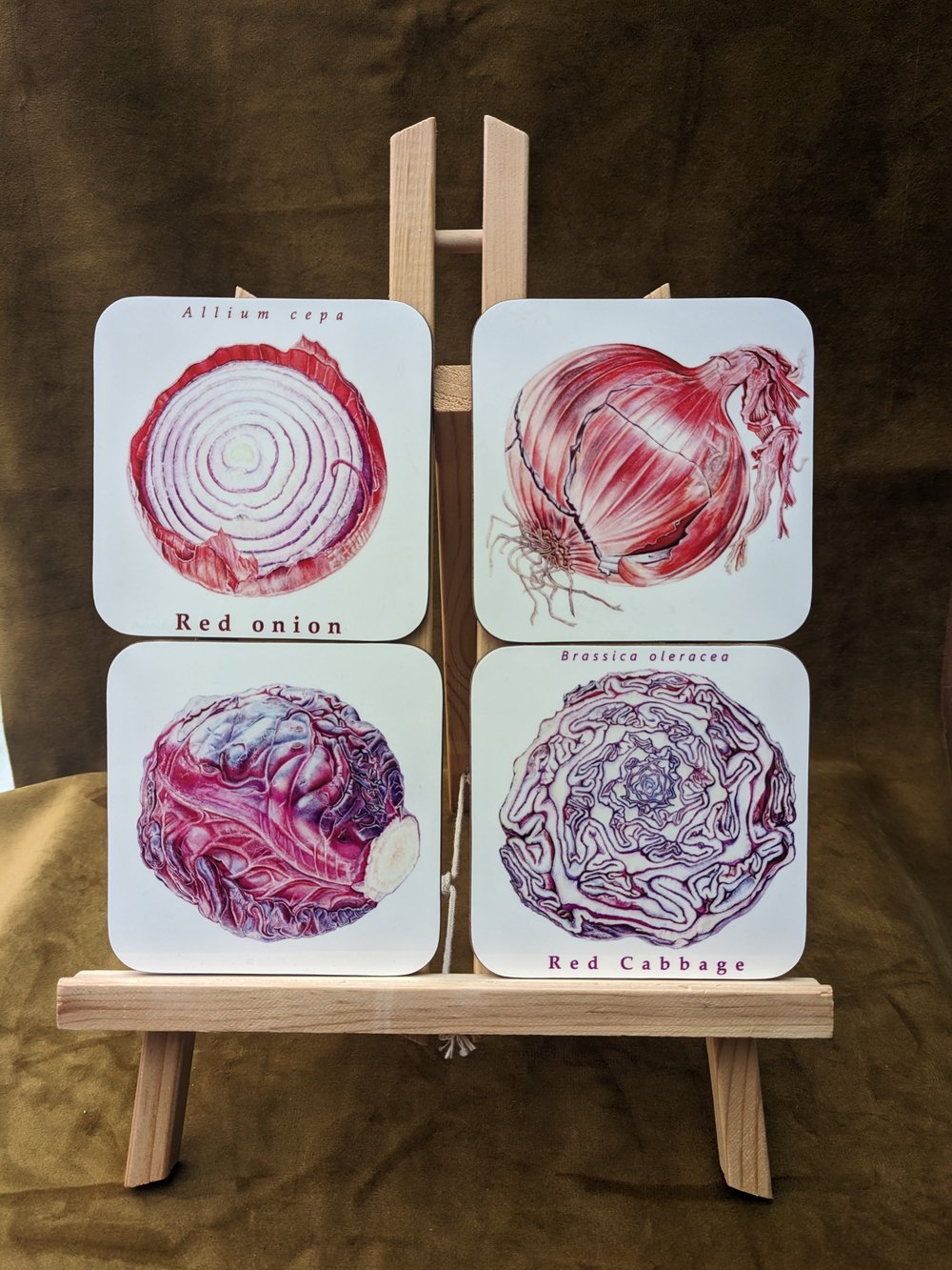 Image of Coaster Set of 4 - Onion/ Cabbage or Peppers