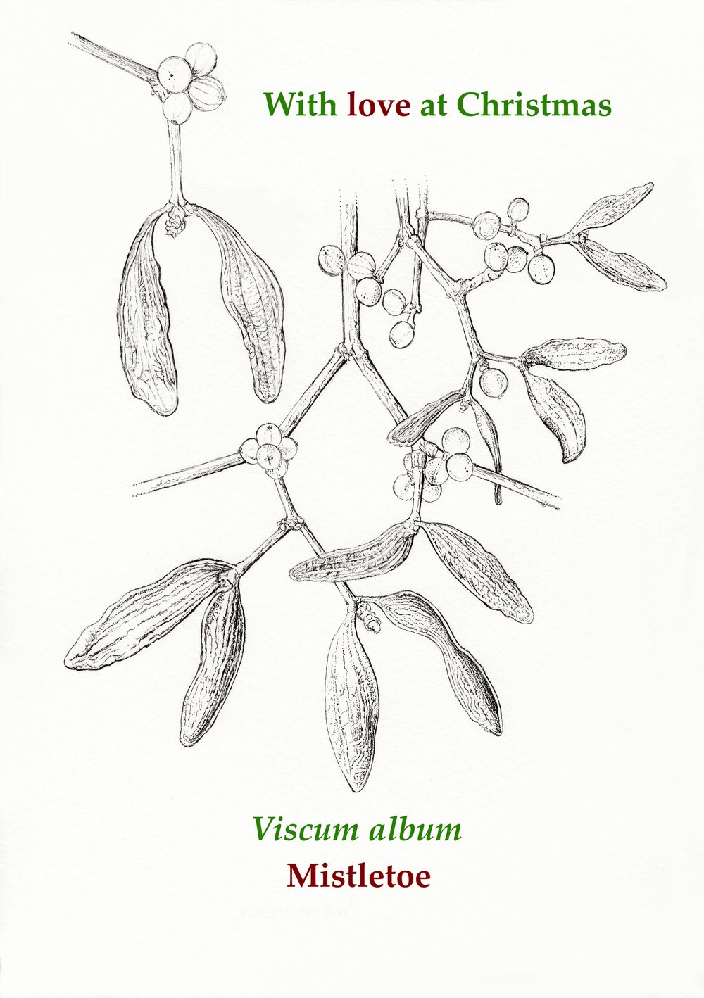 Image of 5x Christmas Card Botanical Pack