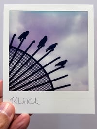 Image 2 of Polaroid "79nd Street, Boat Basin, Manhattan" (color, version 1)