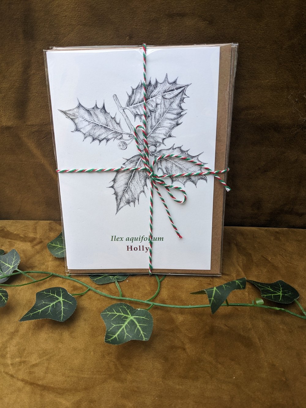 Image of 5x Christmas Card Botanical Pack