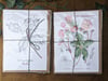 5x Christmas Card Botanical Pack