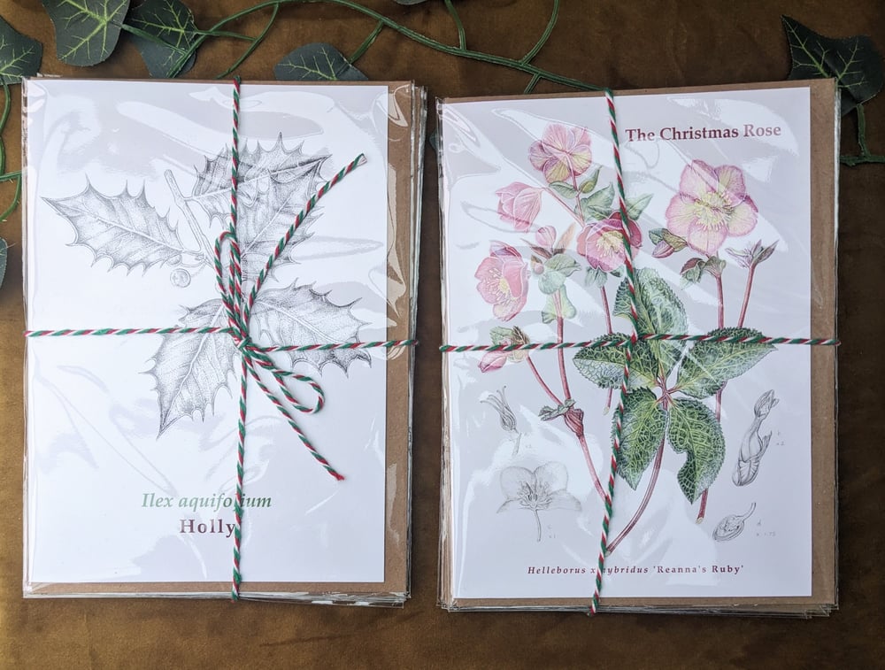 Image of 5x Christmas Card Botanical Pack