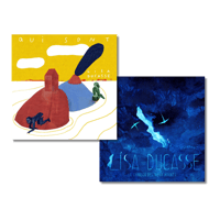 Qui sont / La chanson des vieux amants : Vinyle 2 titres